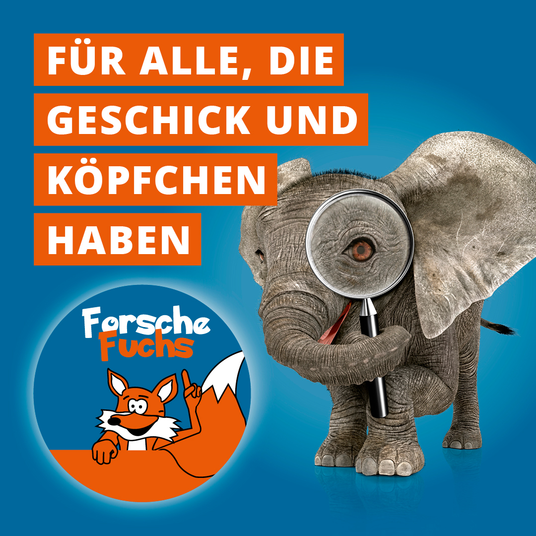 MGB_Forschefuchs_1080x1080px_01